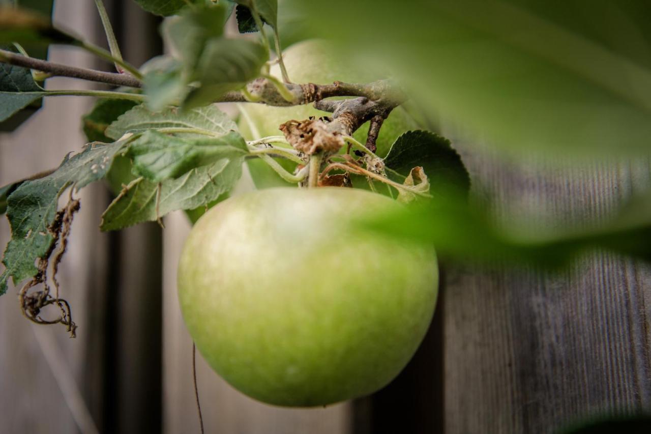 De Greenhouse Leilighet Amsterdam Eksteriør bilde
